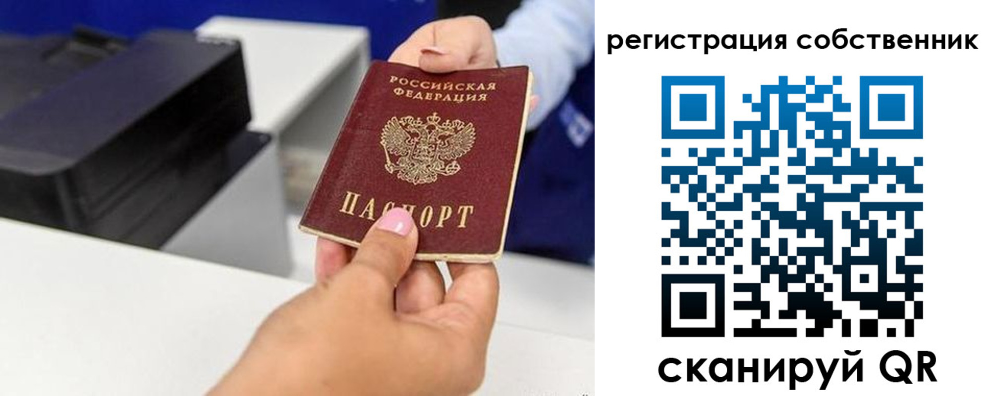 прописка для школы в Пугачёве